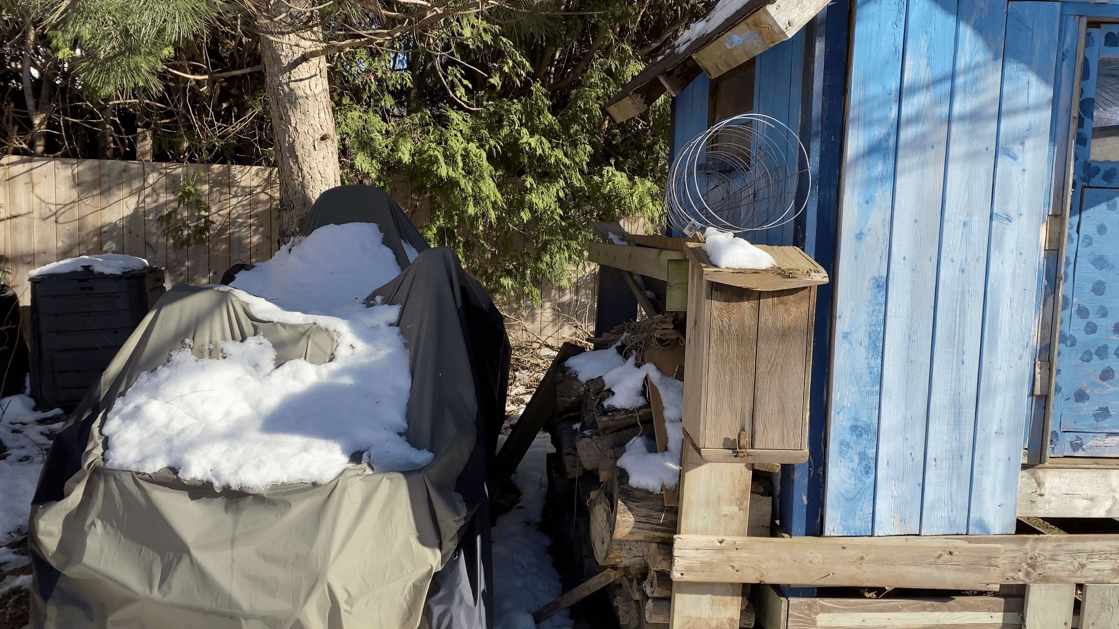 Sample from image sequence